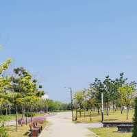 A Tranquil Urban Escape: A Review of Songdo Global Park 