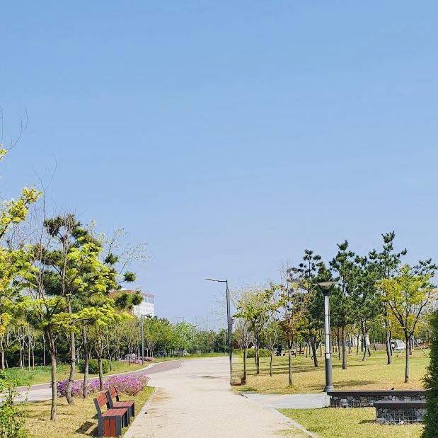 A Tranquil Urban Escape: A Review of Songdo Global Park 