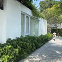  Celes Samui