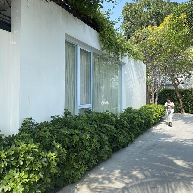  Celes Samui