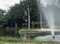 สวนสาธารณะหนองบวกหาด พื้นที่สีเขียวใจกลางเมือง