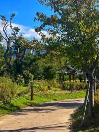 Busan Citizens Park: A Green Oasis in the Heart of the City