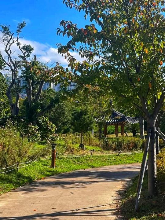 Busan Citizens Park: A Green Oasis in the Heart of the City