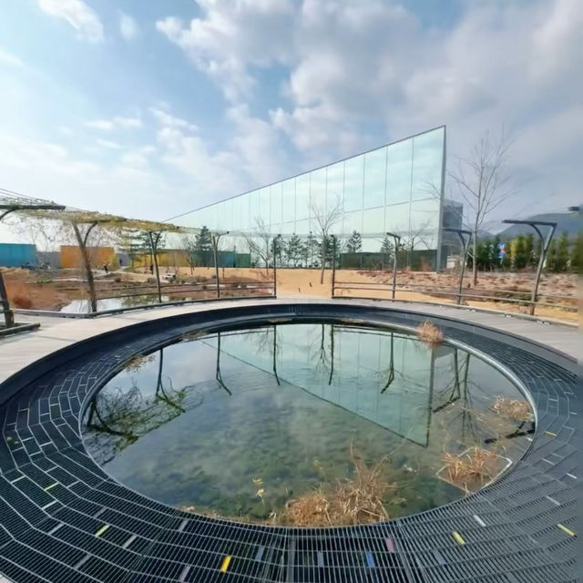 Japan | It Lives Up to the Hype! The World's Most Beautiful Art Museum! 🎨✨