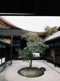 建仁寺的藝術與禪意，讓京都之旅更添靈性與文化深度！