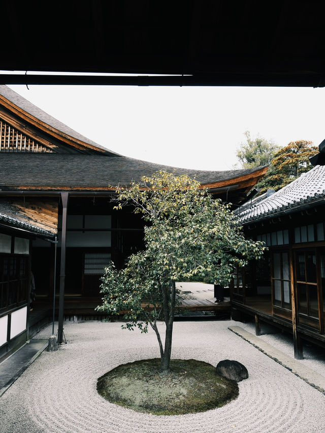 建仁寺的藝術與禪意，讓京都之旅更添靈性與文化深度！
