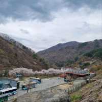 Exploring Baeksolyeong in Jirisan