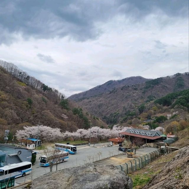 Exploring Baeksolyeong in Jirisan
