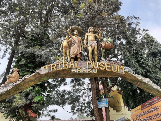 Araku Valley – Andhra Pradesh’s Hidden Gem of Serenity and Greenery