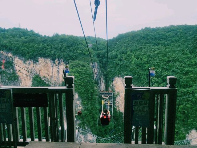 🌄⚡️ Flying Through the Sky: Zipline Adventure in Zhangjiajie Grand Canyon