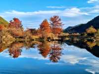 Lazy Strolls and Duck Drama at Jucheon Ecological Park