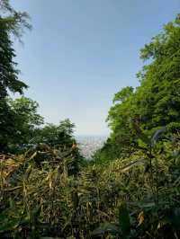 해외여행 삿포로 등산 Mount Moiwa Hiking Walking trail 