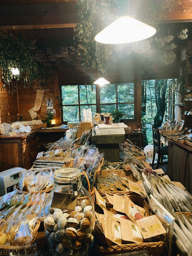 🌿 蓼科ハーバルノート・シンプルズ — 森に包まれる癒しのハーブサロン 