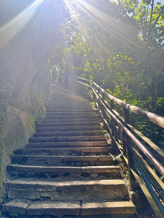 週末去哪裡 ｜ 象山登高望遠野餐趣