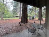 🌲 요세미티 밸리 로지 (Yosemite Valley Lodge)