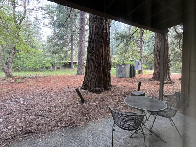 🌲 요세미티 밸리 로지 (Yosemite Valley Lodge)