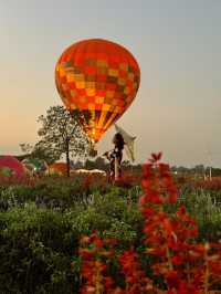 Heaven is a Field of Flowers and a Sky Full of Balloons @Aunty Nok Aeang Flower Farm, Chaing Mai 🎈🌸