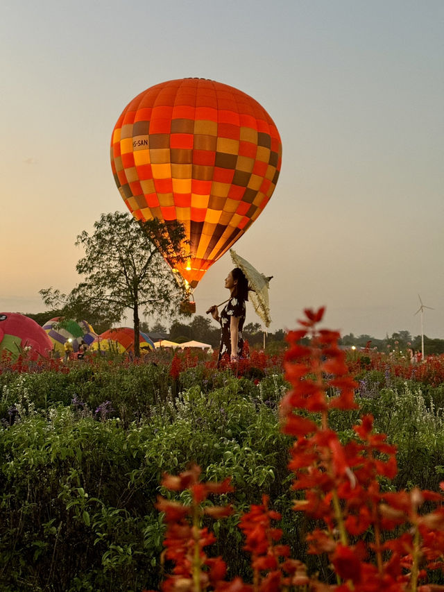 Heaven is a Field of Flowers and a Sky Full of Balloons @Aunty Nok Aeang Flower Farm, Chaing Mai 🎈🌸