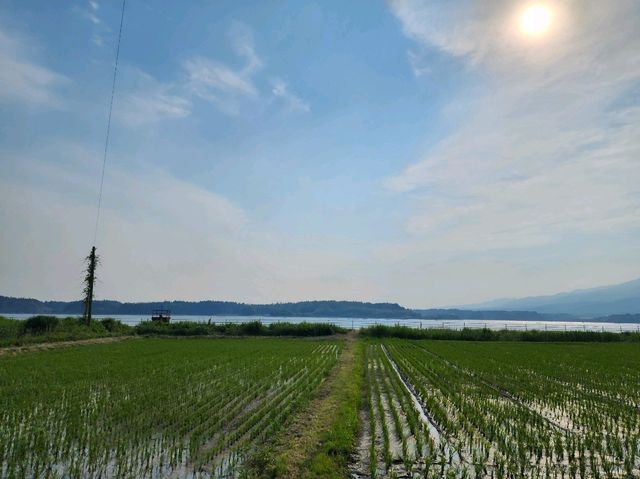 從新潟玩到佐渡島！