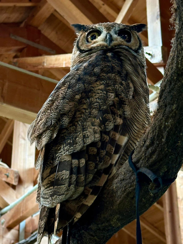 長崎Bio park- 教育與感動兼具的動物園