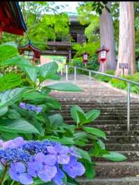 🍇ぶどうと仏の物語。大善寺で心静まる歴史旅⛩️