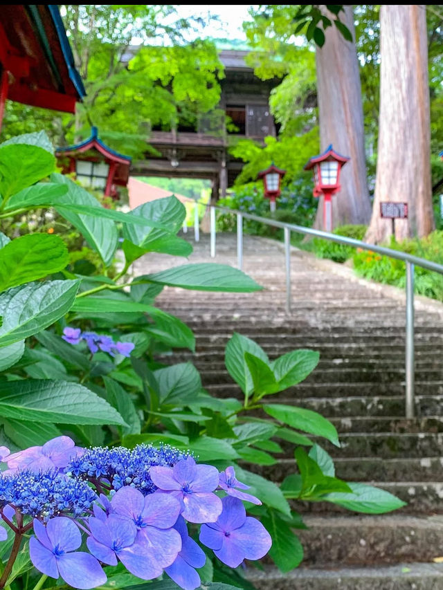 🍇ぶどうと仏の物語。大善寺で心静まる歴史旅⛩️