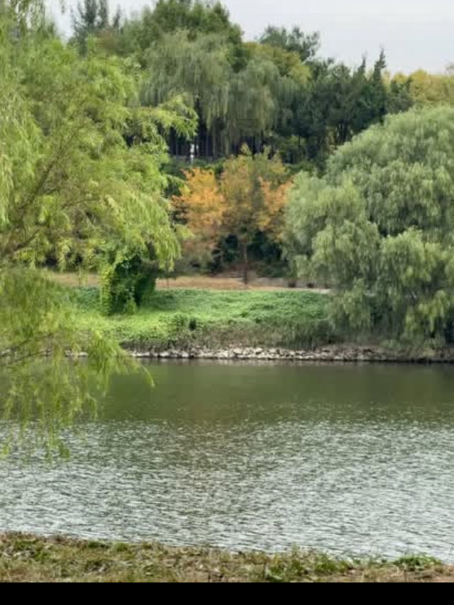 🏞️【漢江公園（Hangang Park）】ソウルの風を感じる川辺のオアシス