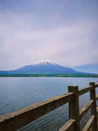 ทะเลสาบยามานากะ (Yamanaka Lake / 山中湖) 