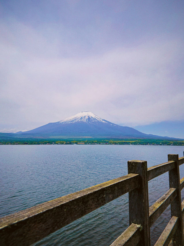 ทะเลสาบยามานากะ (Yamanaka Lake / 山中湖) 