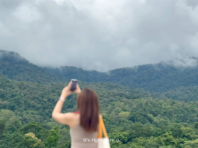 🌿 อ่างแก้ว มช. – มุมพักใจกลางเมืองเชียงใหม่ 💚