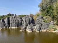 Must Visit - Magical Sone Forest Yunnan , UNESCO site 