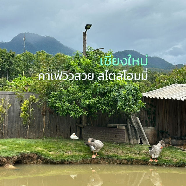คาเฟ่วิวสวย สไตล์โฮมมี่ที่เชียงใหม่ 🏡