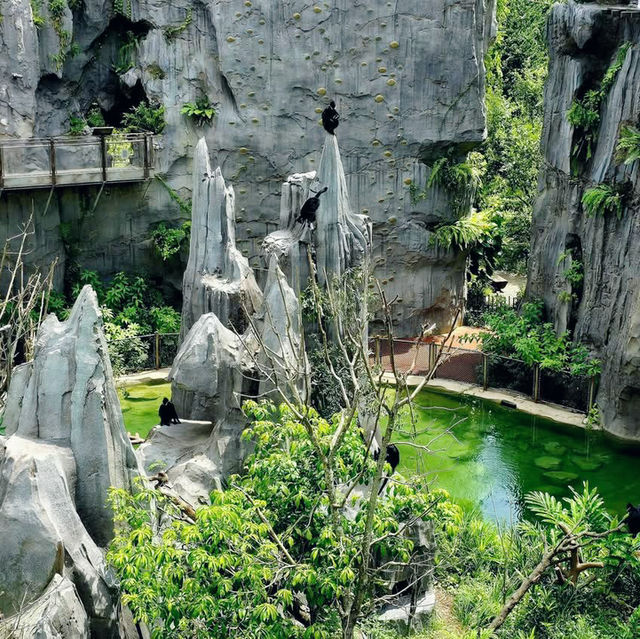 Into the Wild: A Stroll Through Rainforest Wild Asia 🇸🇬