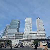 เดินเล่นในนาโกย่า , Nagoya