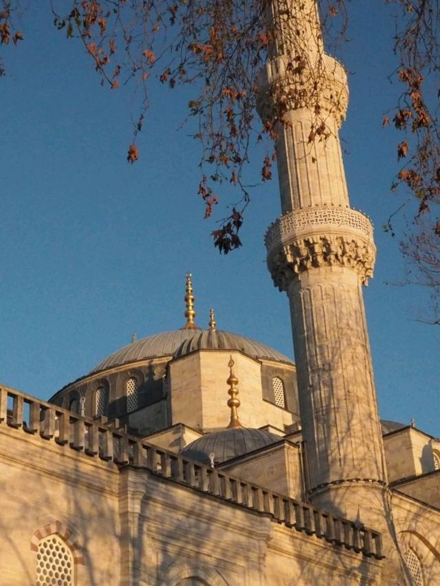 【必見👀圧巻の装飾】トルコ🇹🇷イスタンブールのブルーモスク