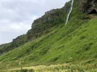 Seljalandsfoss: Iceland's Summer Must-See Waterfall! 🇮🇸💦