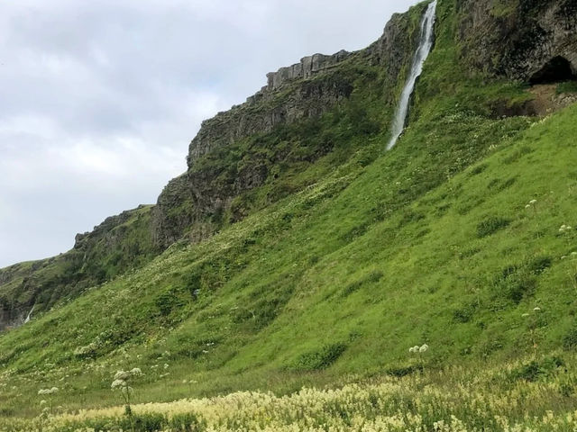 Seljalandsfoss: Iceland's Summer Must-See Waterfall! 🇮🇸💦