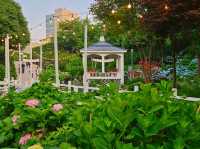 What a nice season to visit Jangsaengpo Hydrangea Festival