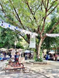 🌳ตลาดฉำฉา – ตลาดนัดสายคราฟต์กลางเชียงใหม่