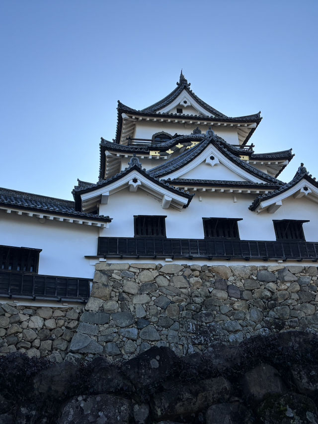 日本現存12天守-彥根城