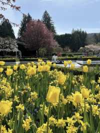 🌸【花の楽園へようこそ！ブッチャート・ガーデンで五感が喜ぶ癒し旅】
