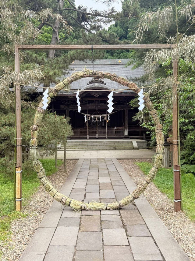 Senshu Park: Hirosaki's Secret Samurai Stroll (With Bonus Cherry Blossom Drama)🏯🌸