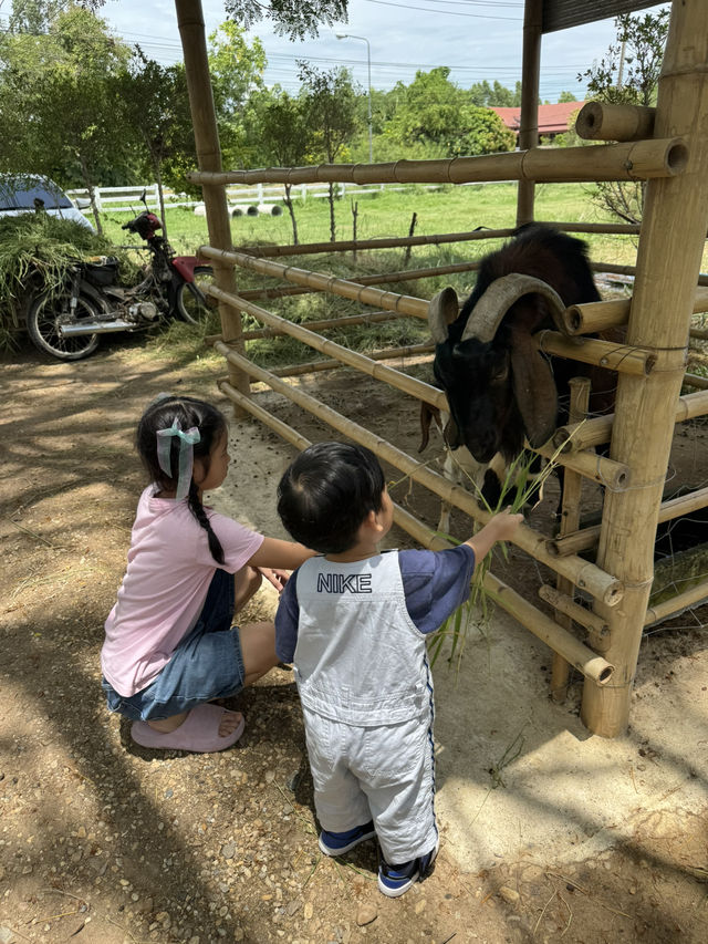 ปานขัวญ แดรี่ฟาร์ม 