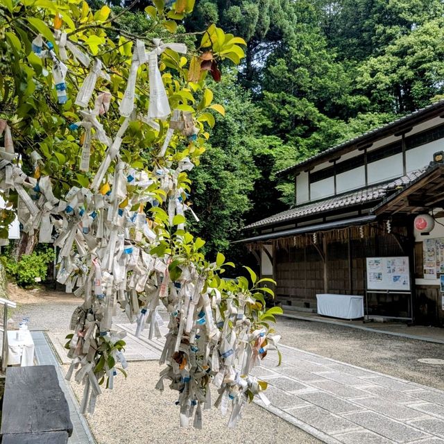 京都 | 八大神社，與劍聖宮本武藏有淵源之地