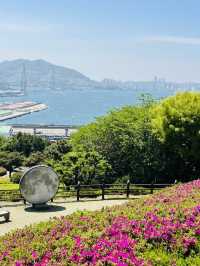 Uam-dong Urban Forest, Busan: A Tranquil Green Escape with Harbor Views