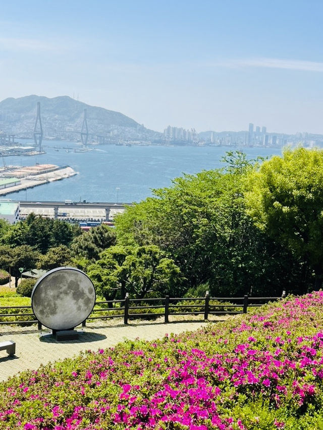 Uam-dong Urban Forest, Busan: A Tranquil Green Escape with Harbor Views