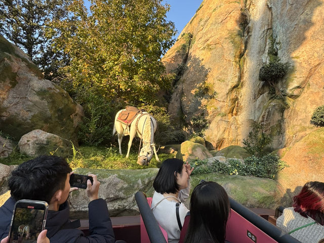 🎢【東京迪士尼樂園｜回到童年夢想的奇幻旅程】