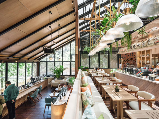 🌿☕✨Baboon Phuket