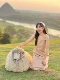คาเฟ่  ฟาร์มแกะในเมืองเชียงราย ABONZO