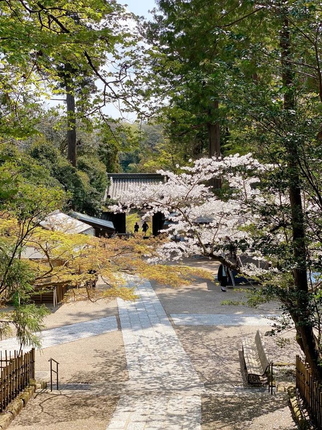 ～貞昌寺～時光靜好～